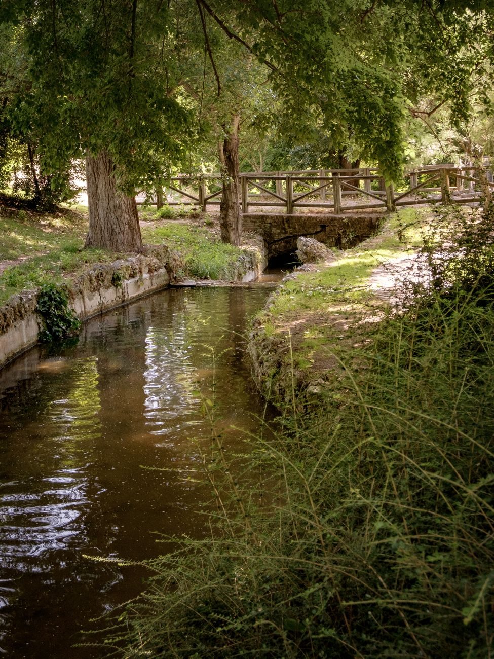 El Jardín Botánico Molino de Inca destaca por sus canales y riachuelos rodeados de frondosa vegetación, alimentados por los manantiales naturales de Torremolinos.