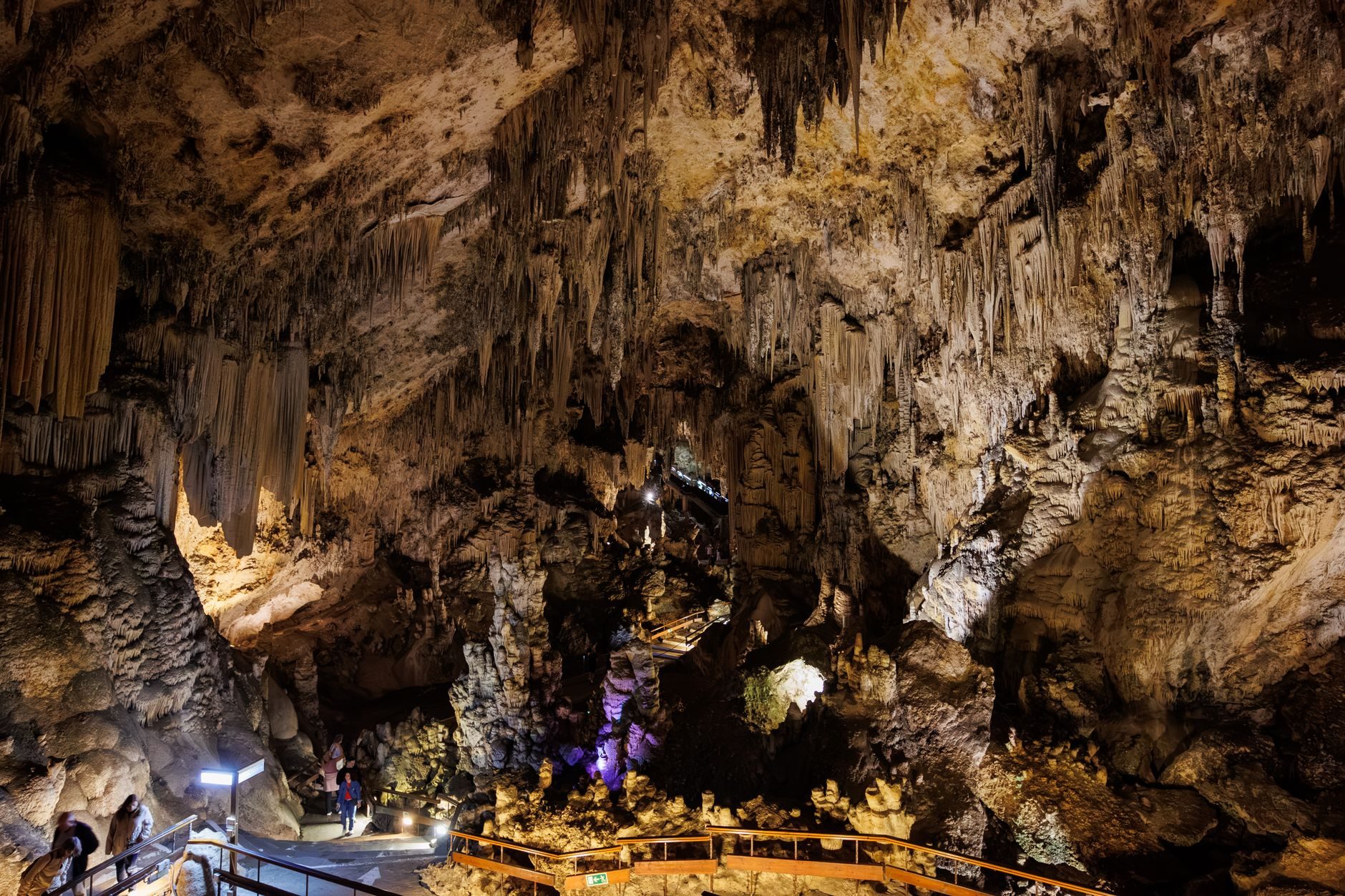 Spectacular, detailed view of the cave ceiling, filled with stalactites and illuminated by warm light from below